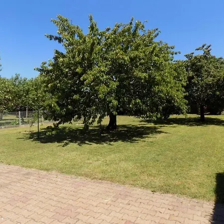 Saint Palais Sur - Maison Années 80 Entierement Renovee Avec Gout *